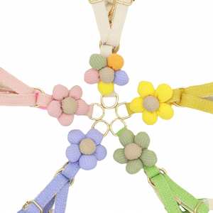 Arnés para Perro Pequeño al por Mayor de Fábrica con Correa, Set de 5 Colores Vibrantes, Lindo, Adecuado para Perras, Chaleco Arnés para Mascotas, Sin Parar - Product Image 6
