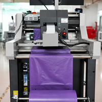 Máquina Ensacadora Inteligente de Alta Velocidad Totalmente Automática con Motor y PLC para Cajas y Embalajes de Plástico