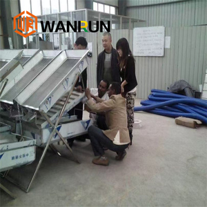 غسالة جافة ذهبية محمولة بأفضل سعر في أفريقيا للبيع - Product Image 4