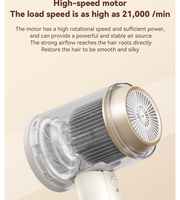 Ensemble Sèche-Cheveux 2025 Nouveau Moteur DC Sans Balais Ionique 1800W Usage Professionnel Qualité Hôtelière Conception Anti-Bruit Soin des Cheveux