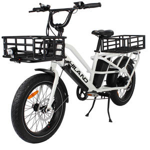 JOYKIE ล้อรถจักรยานไฟฟ้าจักรยานขนส่งสินค้า20นิ้ว,รุ่น48V 500W แบบสเต็ปผ่านไขมันจักรยานไฟฟ้าแบตเตอรี่คู่ - Product Image 1