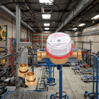 Compteur d'eau domestique compact à jet unique SRJ, vente directe usine, 15-25mm, IP68, OEM, laiton, ISO 4064 Classe B, 1.6MPa, Rouge