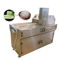 Ligne de Production d'aloe Vera, Machine à laver industrielle entièrement automatique, plante de traitement d'aloe Vera, meilleur prix