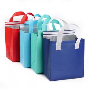 Bolsa Térmica Desechable de Aluminio No Tejido para Bebidas Frías y Calientes, Café, Comida para Llevar, Pequeña - Product Image 2