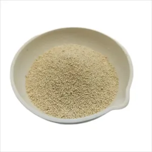 25kg túi thức ăn lớp L-Lysine HCL 98.5% axit amin thức ăn phụ gia bột - Product Image 4