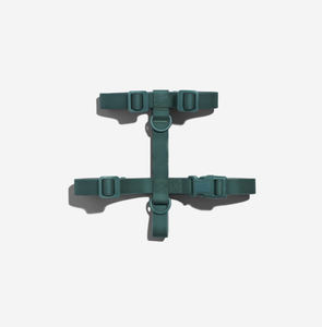 Custom Designer Fashion Durable Breathable PVC Soft Waterproof Adjustable Luxury <strong>Lead</strong> <strong>Walk</strong> Pet <strong>Dog</strong> Collar - Product Image 5