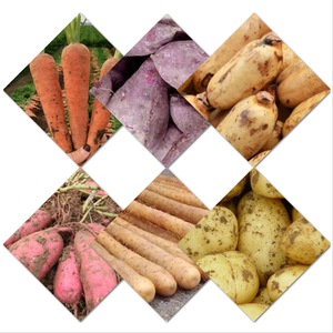 Machine à laver à brosse de vente directe d'usine Machine à laver les fruits et légumes à vendre - Product Image 4