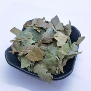 Fornecimento de fabricação de alta qualidade Pi Pa Ye chá de folhas de loquate com ervas chinesas naturais secas - Product Image 3