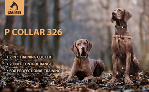 ペットベストセラーのアンチバーキングカラーは、ペットの犬の黒ショックカラーのために設計されたトレーニングデバイスに変わります - Product Image 5