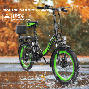 Entrega Rápida en Europa, Reino Unido y Estados Unidos, Bicicleta Eléctrica Plegable Hidoes C1 de 48v 750w con Batería Extraíble, Motor Central Potente, Hd-c1 Bat - Product Image 4
