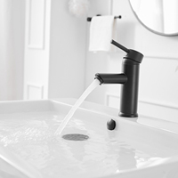 Salle de bain moderne de luxe Robinet de lavabo à poignée unique noir wc hôtel robinet d'eau en acier inoxydable