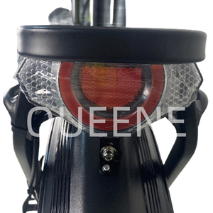 Nouveau Style vert 7 vitesses 750w 1000w grande puissance vélo de montagne à suspension complète vélo électrique de neige - Product Image 6