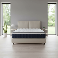 Design moderne matelas ressort luxe écologique taille king 30cm latex vide mousse mémoire tissu moyen hôtel villa