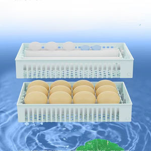 Nuova Incubatrice Automatica LZ-<span class=keywords><strong>50</strong></span> con Touch Screen per <span class=keywords><strong>50</strong></span> Uova, Tasso di Schiusa del 98%, Vassoio Rotante, Alta Produttività per Polli, Struzzi ed Emu Domestici - Product Image 6