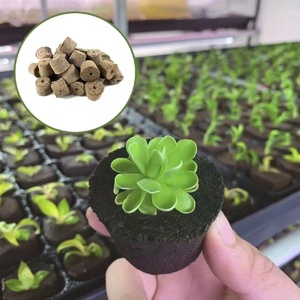 Pods hydroponiques carrés, bouchons de semis, éponges de croissance rapide pour les racines, cubes de remplacement pour les graines de légumes - Product Image 2