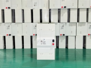 Disjoncteur différentiel de type africain OEM d'usine 2P 4P Disjoncteur de <span class=keywords><strong>circuit</strong></span> Fuite à la terre 5-15A 10-30A 15-45A 30-60A PG RCCB - Product Image 4