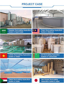 Équipements et outils de système d'aquaculture en recirculation pour l'élevage de poissons en Malaisie, pour la ferme piscicole de poisson-chat - Product Image 4