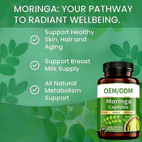 Compléments alimentaires de haute qualité OEM ODM, capsules de Moringa riches en vitamines et minéraux, stimulant l'action antioxydante et le soutien immunitaire