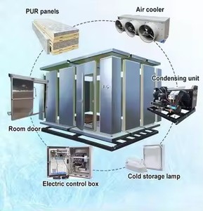 Cella Frigorifera Personalizzata ad Alta Efficienza con Compressore Ecologico per Congelamento Rapido di Pesce, Frutta e Verdura - Product Image 3