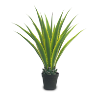 CHUANGFA 110cm Arbre artificiel d'Agave en fer vert à bords jaunes pour la décoration de bureau pour les anniversaires et les pâques en PE