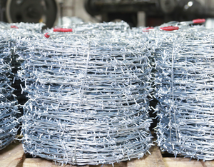 Fil barbelé galvanisé de haute qualité résistant à la rouille, 500 mètres, prix du fil barbelé - Product Image 2