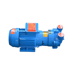 Bomba de Vacío de Anillo Líquido Horizontal BOYUAN 2BV2060 para Maquinaria Industrial, Serie Manufacturada - Product Image 5