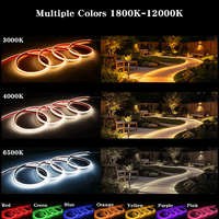 Светодиодная лента Dream Color RGBIC DC12V, 432 светодиода, 10 мм, 8 Вт, адресная COB LED лента, программируемая RGB лента для освещения