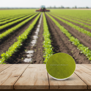 <span class=keywords><strong>Engrais</strong></span> naturel biologique de haute qualité à base d'extrait d'<span class=keywords><strong>algues</strong></span>, <span class=keywords><strong>poudre</strong></span> d'<span class=keywords><strong>algues</strong></span> - Product Image 1