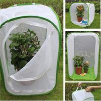 Cage à insectes en plastique pliable pour oiseaux d'élevage papillons mante avec maille Habitat grille cocon Net accessoires solides