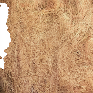 Fibre de coco supérieure, écologique et durable, idéale pour les tapis de meubles en corde à brosse et la production à l'exportation. - Product Image 1