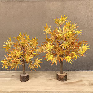 ต้นเมเปิลแดงคุณภาพสูง, ต้นเมเปิลกรงเล็บไก่, ต้นเงิน, สำหรับตกแต่งโต๊ะอาหาร, ร้านอาหาร, ซูเปอร์มาร์เก็ต, ต้นไม้<span class=keywords><strong>สี</strong></span>เขียวและกระถาง<span class=keywords><strong>บอน</strong></span>ไซ - Product Image 4