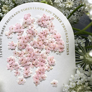 Incarnazione naturale Nail Dry Flower colorati fiori secchi decorazioni per Nail Art - Product Image 3
