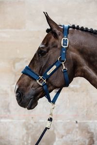 Reliable Horse Halter With Durable Hardware For Grooming Training And Transportation Activities Daily - Product Image 1