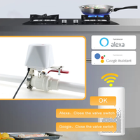 Vanne d'eau intelligente WiFi/Zigbee, vanne de gaz compatible Wi-Fi avec Alexa Google Home, contrôleur d'arrêt