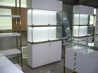 Projecteur à LED pour téléphone portable Vitrine en verre Armoire en MDF pour magasin de détail Aménagement intérieur pour centre commercial