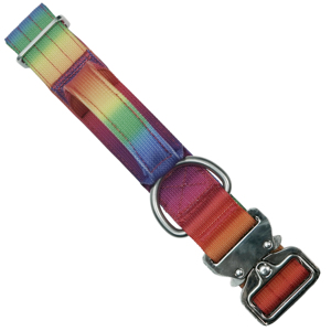 Collier pour chien robuste à dégradé arc-en-ciel avec boucle en métal de luxe pour chiens de taille moyenne à grande - Product Image 3