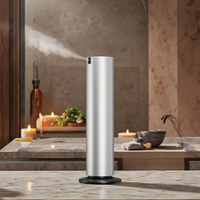 Diffuseur d'arômes sans eau commercial 800 ml en alliage d'aluminium, couverture 3000-5000 m², pour hôtels et usage domestique, électrique, essentiel