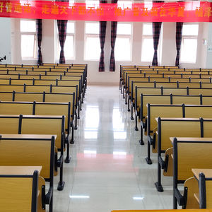 Sillas Plegables <span class=keywords><strong>de</strong></span> Madera Integradas para Salas <span class=keywords><strong>de</strong></span> Conferencias <span class=keywords><strong>y</strong></span> Escuelas - Diseño Moderno Compatible con Escaleras - Product Image 5