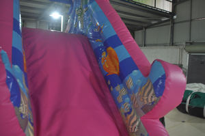 Castillo Inflable <span class=keywords><strong>de</strong></span> Color Rosa con Tobogán - Product Image 6