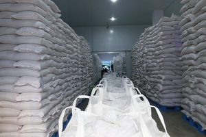 Polvo de Germen de Arroz de Alta Calidad con 60% de Contenido de Germen para Alimentos Pediátricos, Nutrición Clínica, Bajo Riesgo de Alergia, en Lata/Botella - Product Image 4