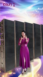 Système de haut-parleurs Line Array NEO professionnel de 10 pouces avec <span class=keywords><strong>2</strong></span> voies, 600W, LA2210P - Product Image 5