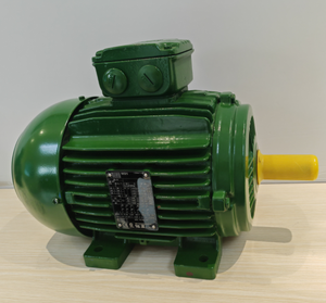 มอเตอร์เหนี่ยวนำไฟฟ้ากระแสสลับ 3 เฟส 220V 380V รุ่น Weg W21 W22 W20 กำลัง 4 แรงม้า 5.5 แรงม้า 10 แรงม้า 15 แรงม้า 25 แรงม้า 40 แรงม้า 75 แรงม้า 125 แรงม้า 215 แรงม้า 270 แรงม้า - Product Image 6