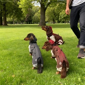 Abrigo de invierno de perro salchicha de poliéster con estampado clásico ecológico a prueba de frío <span class=keywords><strong>para</strong></span> <span class=keywords><strong>Yorkshire</strong></span> Terrier tallas pequeñas y medianas - Product Image 1