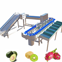 Citroen Komkommer Mango Dadelpalm Tomaat Pomelo Fruit Groente Weeg- en Sorteermachine Kehong KHLH-6J 750W Aanpasbare Sorteering