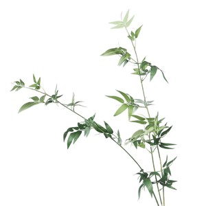Hojas de Bambú Artificiales Meng Jie de 100cm y 200cm, Planta de Follaje de Seda para Decoración Zen de Salas de Té y Salas de Estar - Product Image 5