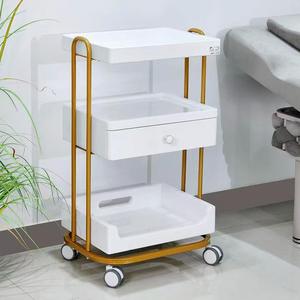Chariot de luxe léger haut de gamme Z pour salon de beauté, chariot de gestion des soins cutanés avec étagère de rangement en bois, chariot à outils en métal et plastique - Product Image 1