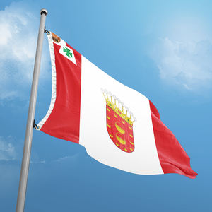 Logotipo de alta calidad Publicidad Bandera de La Gomera Islas <span class=keywords><strong>Canarias</strong></span> 3x5FT España Banners Diseño de doble costura Banderas nacionales - Product Image 2
