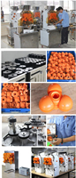 Elektrische Citruspers Verwerking Maker Commerciële Automatische Vruchtensap Making Machine Te Koop