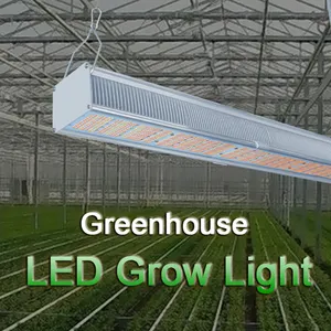 En çok satan sera ışık büyümeye yol açtı 650W 320W sera LED grow ışık çubuğu 5 yıl garanti