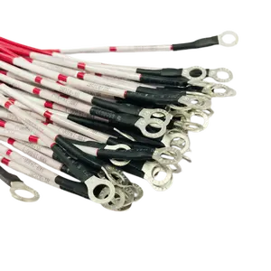 Hersteller von kunden spezifischen Kabel baugruppen Kfz-Kabel-und Kabelbaum baugruppe mit Ring klemme
